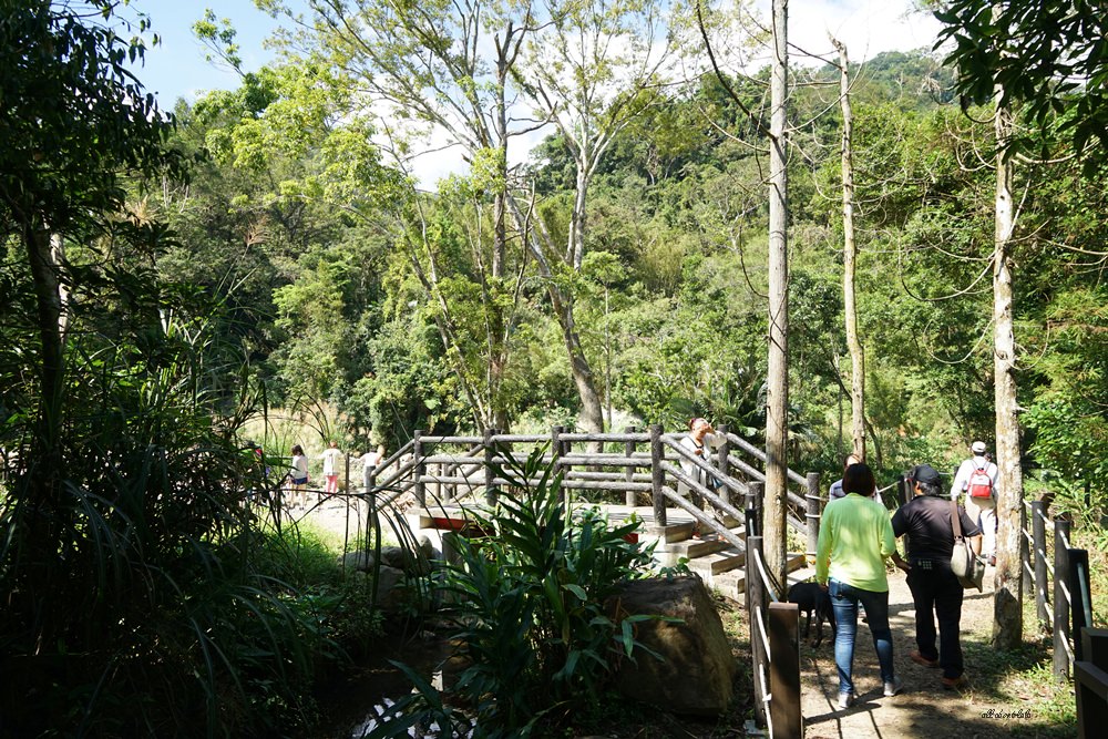 dsc03230