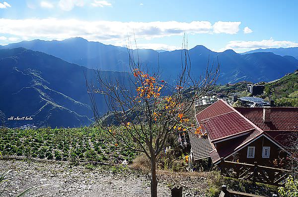 DSC08698